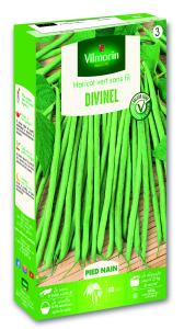 Haricot Nain Vert Divinel